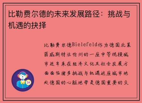 比勒费尔德的未来发展路径：挑战与机遇的抉择